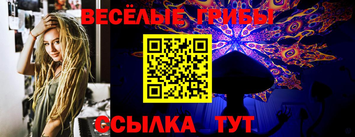 Первоуральск  где продают   Вход с VPN  Псилоцибиновые грибы Psilocybine cubensis 