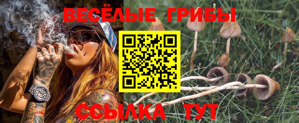 Псилоцибиновые грибы ЛСД Первоуральск